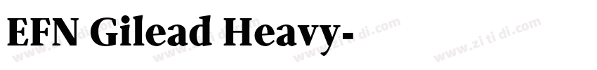 EFN Gilead Heavy字体转换